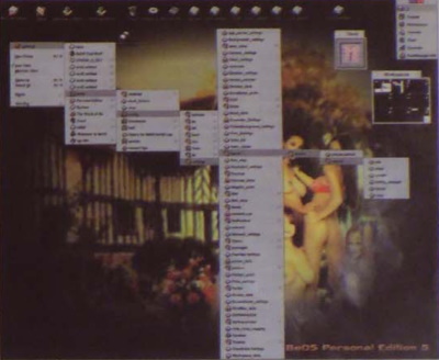 kép A BeOS, eddigi tapasztalataim szerint, kényesebb a hardverre, mint a W2K, tehát Varuna fizikai állapotát jól fel tudom becsülni általa. Csak ezért van itt és semmi másért  